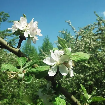 Frühstückspension Ferme Cidricole Hugues Desfrieches 3*